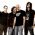 Infected Mushroom