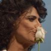 Uma rosa pra voc�!