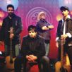 acustico rosa de saron