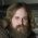 Iron & Wine