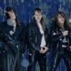 X-Wild