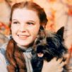 Judy no papel que imortalizou: Dorothy (O Magico de Oz)