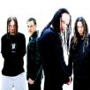 Korn c1