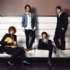 Kooks.