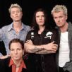 The Cult