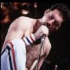 Show Freddie