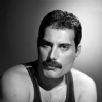 Freddie