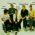 Australian Crawl