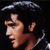 foto: divulga��o