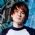 Owl City