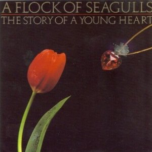 A Flock Of Seagulls