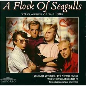 A Flock Of Seagulls