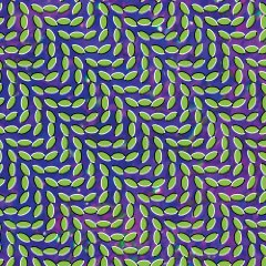 Animal Collective