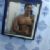 Theus2