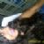 robertinha01jus