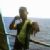 Adenivan