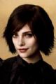alicecullen17