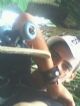 lunck