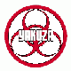 yakuzagirl