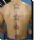 Ponto
