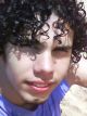 GuFeAb