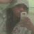 ANDREZZINHA