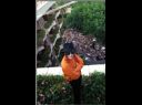 King Of Pop