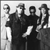 Infectious Grooves