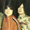 The Seahorses