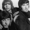 Yardbirds For Your Love