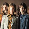 Savoy Brown