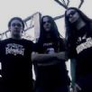 Necropsya