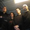 Rotten Sound