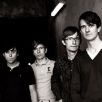 The Rakes