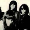 Fuzztones
