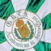 G.R.E.S.  Acadêmicos de Santa Cruz
