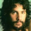 Cat Stevens Hummingbird