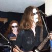 Sfagnum