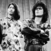 T-Bolan