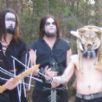 Wolven Ancestry