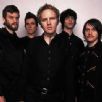 The Faint