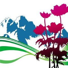 International: Best of New Order