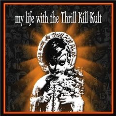 My Life with the Thrill Kill Kult
