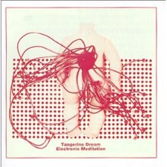 Electronic Meditation