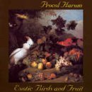 Exotic Birds and Fruit