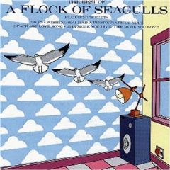 Best of A Flock of Seagulls