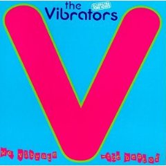 We Vibrate: The Best of the Vibrators