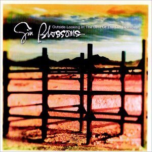 Outside Looking In: The Best Of Gin Blossoms