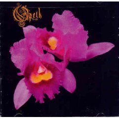 Orchid