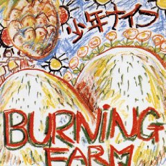 Burning Farm